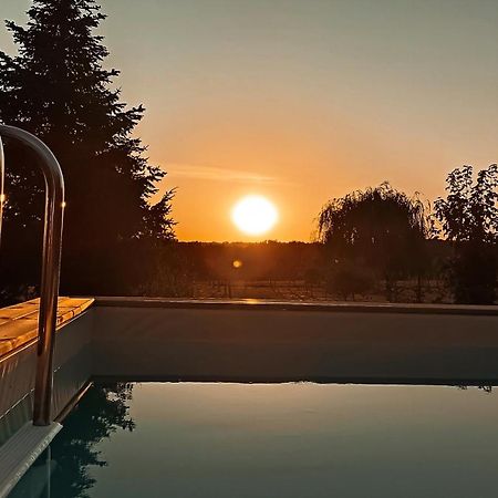 Cadol'Ain Bed & Breakfast Servignat Dış mekan fotoğraf